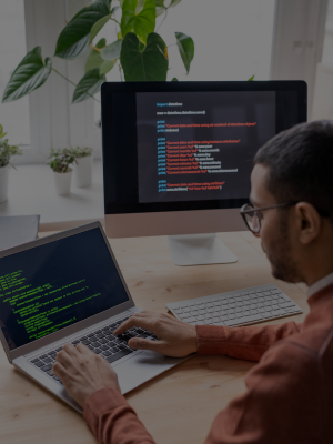 Custom Web Development